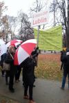 19.11.2016 Warszawa